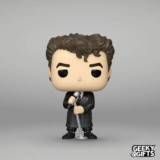 Funko Pop Rocks Neil Tennant 190