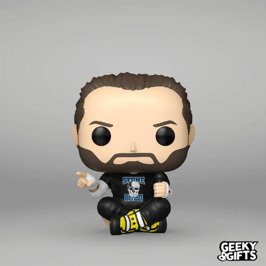 Preventa Funko Pop WWE - CM Punk 182